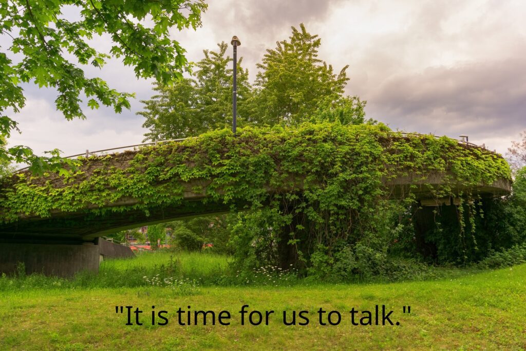 A bridge, completely overgrown with vines, surrounded by grass and trees. A single streetlight rises from the middle of the bridge.

Bottom text reads: "It is time for us to talk."